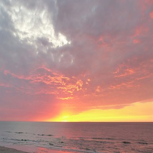 시작을 위한 연주곡