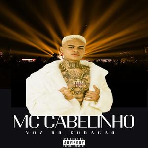 Voz Do Coração Saudades Do Mocoto • Mc Cabelinho