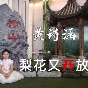 梨花又开放