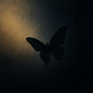 Black Butterfly