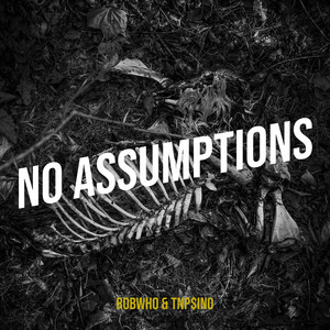 No Assumptions (Explicit)