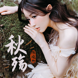 秋殇 (DJ名龙版)封面
