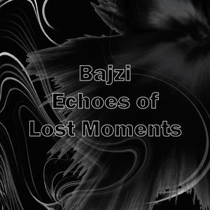 Echoes of Lost Moments