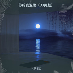 你给的温柔 (DJ男版)封面