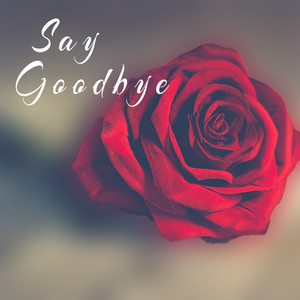 Say Goodbye