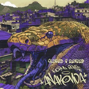 ANAKONDA (slowed & Reverb|Explicit)
