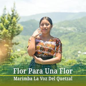 Flor Para Una Flor