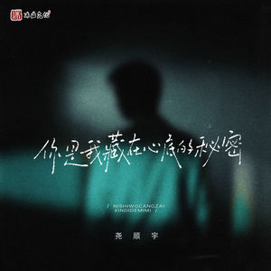 你是我藏在心底的秘密