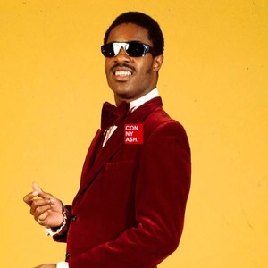 Stevie Wonder