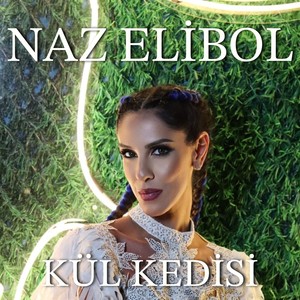 Kül Kedisi