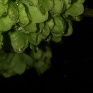 如果你能回应我