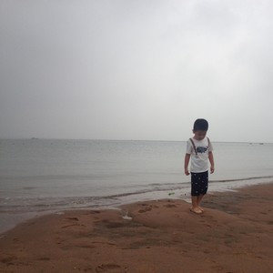 刘葵 - 不做停留