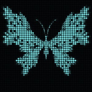 butterflies (Explicit)