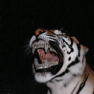 Hit The Road (Explicit)