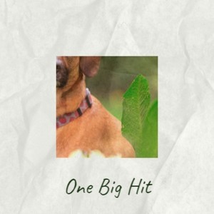 One Big Hit