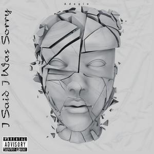 Not Too Much (feat. Mike Cole & Dir) (Explicit)