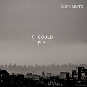 If I Could Fly