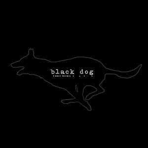 Black Dog