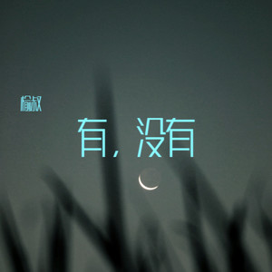 有，没有