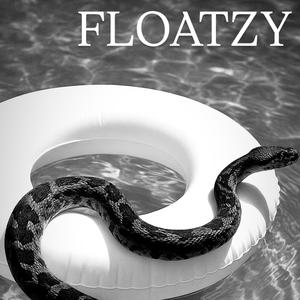 FLOATZY (Explicit)
