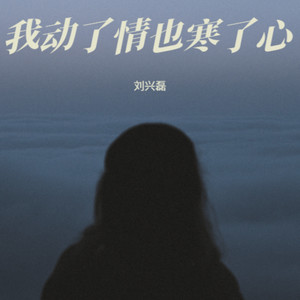 我动了情也寒了心 (男声版)