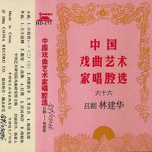 林建华 - 鸿雁捎书