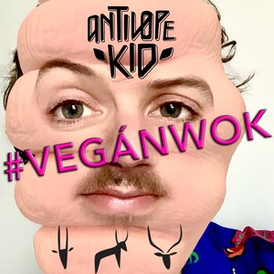 Vegán wok (Explicit)