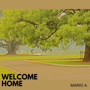 Where The Light Begins