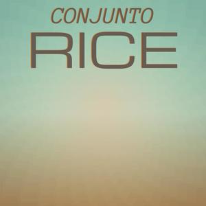 Conjunto Rice