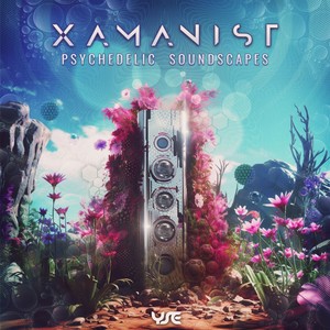 Psychedelic Soundscapes