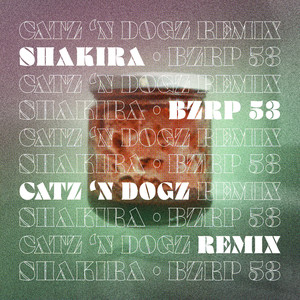 Catz 'n Dogz - Shakira - Bzrp 53 (Catz 'N Dogz Remix)