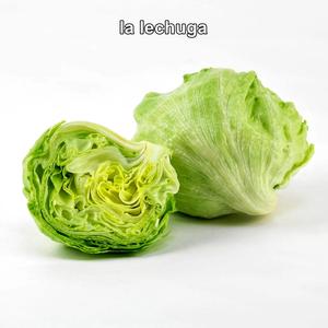 La Lechuga (Explicit)
