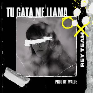 Tu gata me llama (feat. Kenxiel & Yanzel) [Walde The Beatmaker Remix] [Explicit]