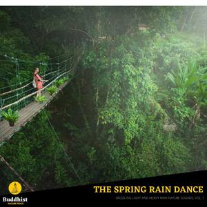The Spring Rain Dance - Drizzling Light and Heavy Rain Nature Sounds, Vol. 1