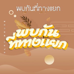 พบกันที่ทางแยก