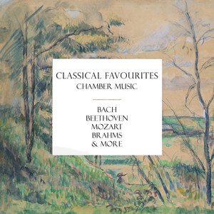 J.S. Bach: Trio Sonata in G Major, BWV 1039 - III. Adagio e piano