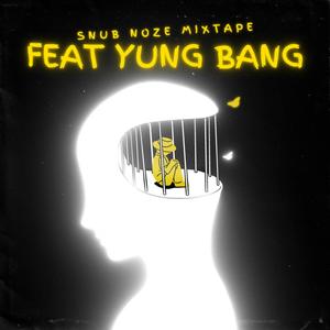 SNUB NOZE MIXTAPE (Explicit)