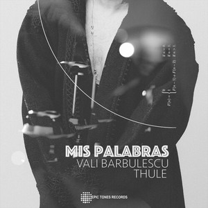 Mis Palabras (Nineties Kid Remix)