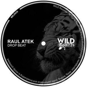 Drop Beat (Original Mix)