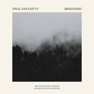 Awakening (Guitar Arrangement)