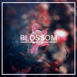 阿铭 - Blossom