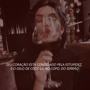SEU CORAÇÃO ESTÁ CONGELADO PELA ESTUPIDEZ, E O GELO DE CÔCO LÁ NO COPO, DO SERRÃO