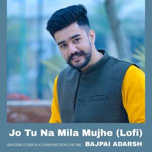 Jo Tu Na Mila Mujhe (Lofi)