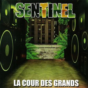 L'art du rebond