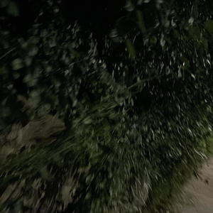 astrmani - enough (Explicit)