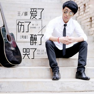 爱了伤了醉了哭了 (男版)