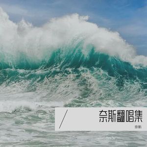 奈斯 - 几分之几