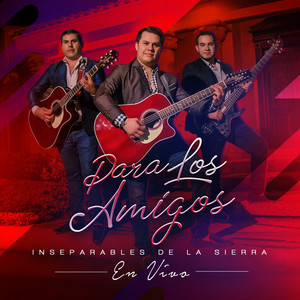 Para Los Amigos (En Vivo)