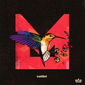 Colibri