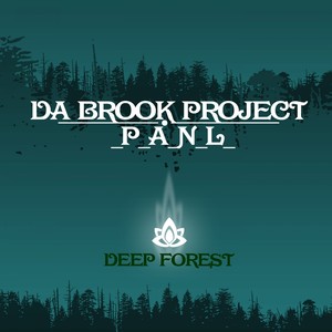 _P_A_N_L_ (Original Mix)